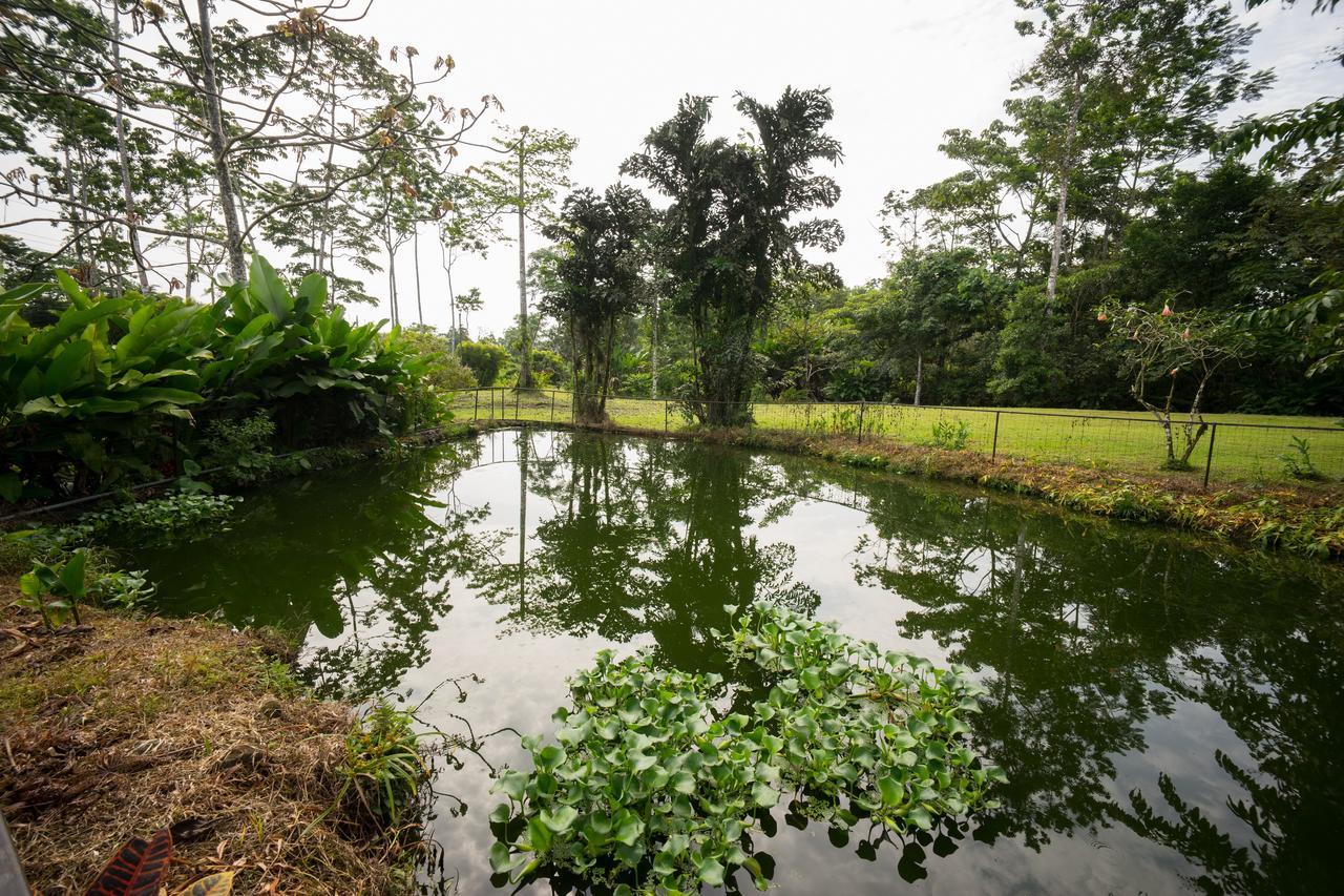Blue River Resort & Hot Springs Liberia Exterior photo